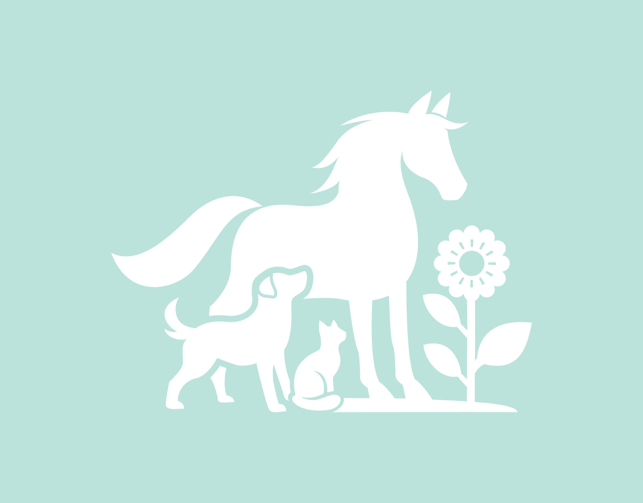 Noémie Morel Noémie Morel