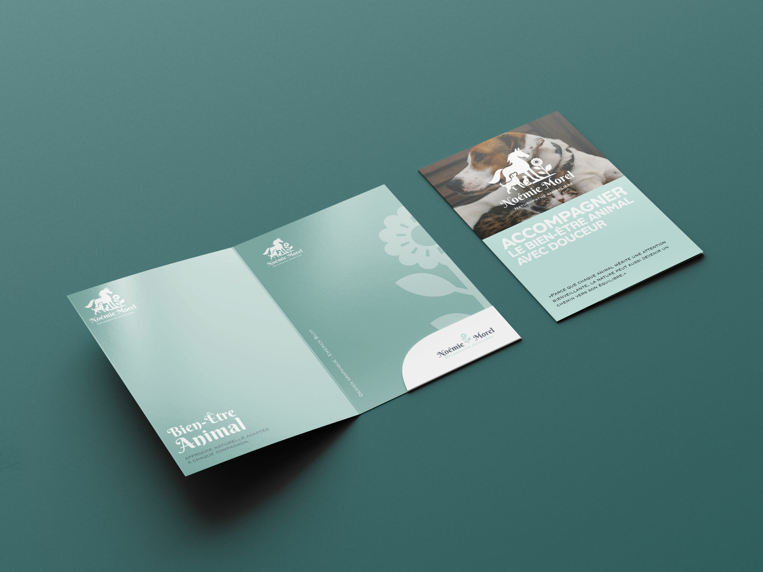 Noémie Morel Noémie Morel